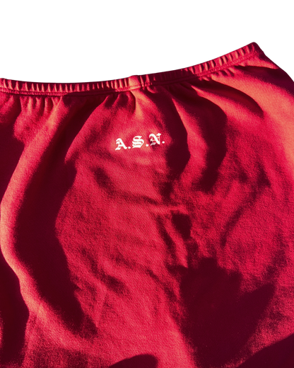 ASN Cheer Skort